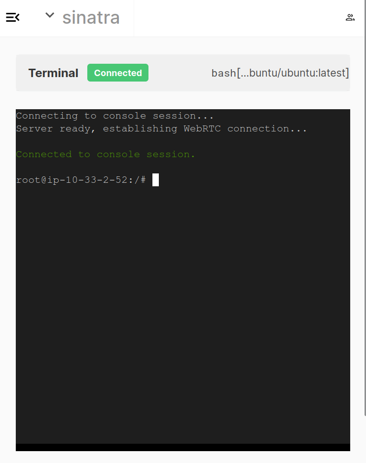 Browser Terminal Screenshot